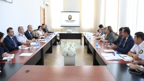 Prezident Administrasiyası &ldquo;Meymunçiçəyi&rdquo;nə görə rəsmi qurumları&nbsp;TOPLADI
