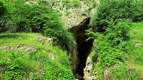 Azıx mağarasında yeni tədqiqatlar nə vaxt başlayacaq?