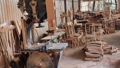 Lənkəranda ağac emalı sexi aşkarlandı - Sahibi cərimələndi