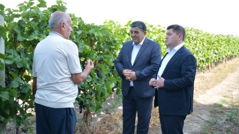 İlham Süleymanov Ağstafada vətəndaşlarla görüşdü, təsərrüfatlara baş çəkdi