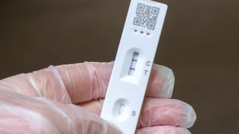 Koronavirusun yeni variantı: İndi də XEC yayılır? - Alimlər təşvişdə...