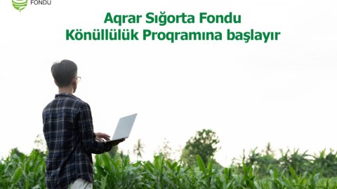 Tələbə və məzunlar üçün Könüllülük Proqramı başlayır