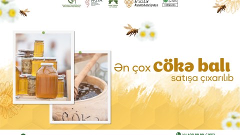 Yarmarkada ən çox cökə balı satışa çıxarılıb