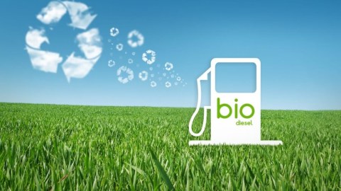 Azərbaycanda biodizelin istifadəsi mümkündürmü?