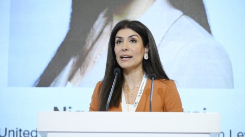 "İqlim məsələlərinin öhdəsindən təkbaşına gələ bilmərik" 