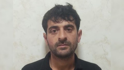 8700 manatlıq iribuynuzlu heyvan oğurlayan şəxs saxlanıldı