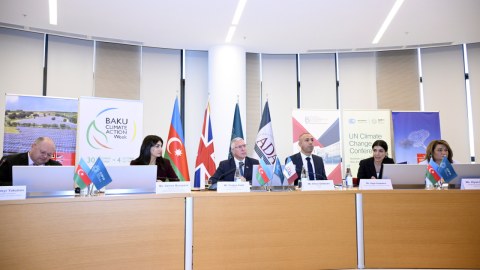 "Karbon bazarları bəşəriyyət üçün ən yüksək fayda verə bilər"