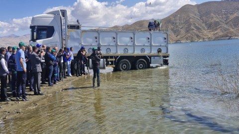 Heydər Əliyev su anbarına 200 min sazan balığının körpələri buraxıldı