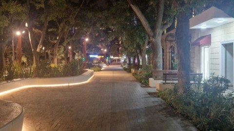 Xəqani parkı zəbt edildi - Dövlət qurumu hərəkətə keçdi