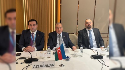 Deputatlar İstanbulda ölkəmizi təmsil etdilər - FOTO