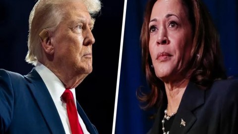 Harris Trampı faşist adlandırıb