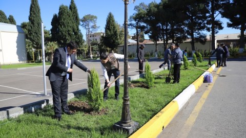 GDU tələbələri ağacəkmə aksiyasında - FOTO