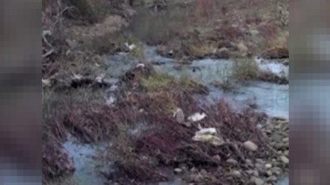Lənkəranda torpaq sürüşməsi: evlər üçün təhlükə yarandı - VİDEO