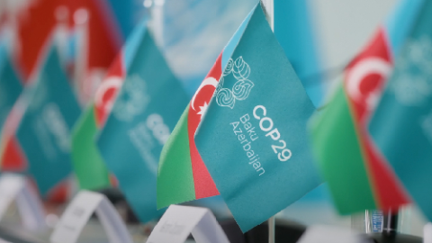 COP29-da yalnız onlara pulsuz qida veriləcək