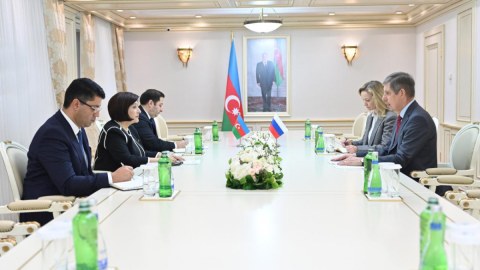 Sahibə Qafarova Rusiya səfiri ilə görüşüb - FOTO
