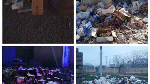 Ətraf mühiti çirkləndirənlər cəzalandırıldılar
