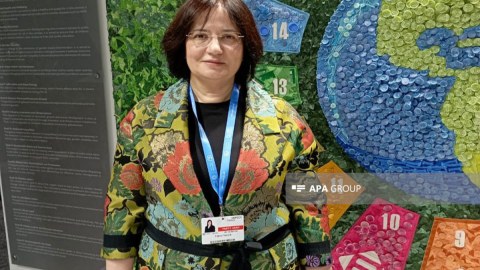 Türkiyə nümayəndə heyəti COP29-da iqlim hədəflərini açıqlayacaq
