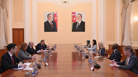 Əli Əsədov icraçı direktorla görüşdü