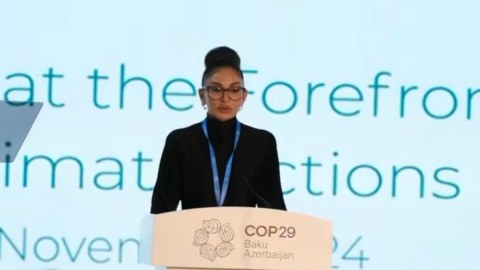 Mehriban Əliyevadan COP29-la bağlı daha bir PAYLAŞIM