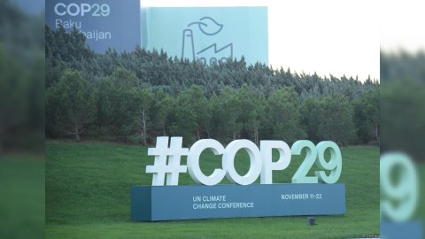 COP29 çərçivəsində Maliyyə Günü