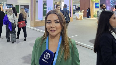 COP29-a görə 10 minə yaxın QHT nümayəndəsi ölkəmizə gələcək