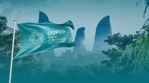 COP29 iştirakçılarının 3618 nəfəri media nümayəndəsidir