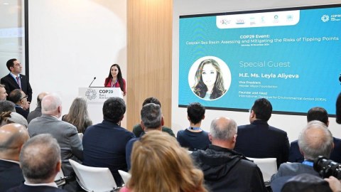 Leyla Əliyeva dəyirmi masada - FOTO