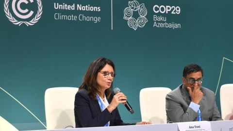 COP30-un nailiyyəti COP29-un uğurundan asılıdır