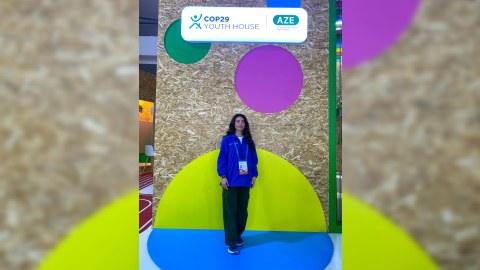 COP29 ilə Qlobal iqlim diplomatiyası: “Yaşıl enerji” dialoqları