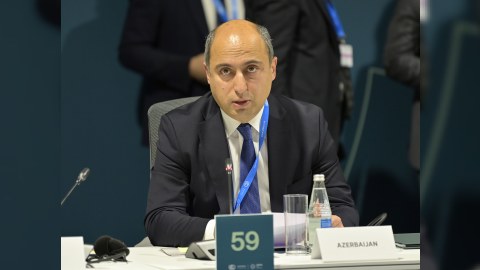 "Təhsilin yaşıllaşdırılması və iqlim dayanıqlılığı" mövzusunda yüksək səviyyəli panel keçirilib&nbsp;