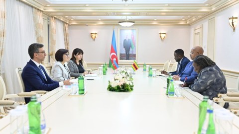 Zimbabve parlamentinin sədrinə qarayaxma kampaniyaları barədə məlumat verildi