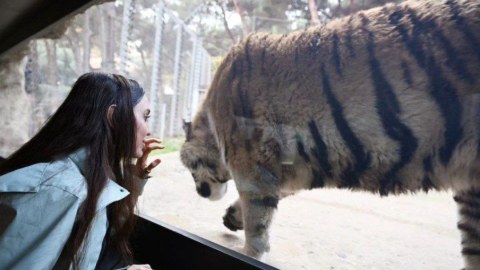Leyla Əliyeva&nbsp;Bakı Zooparkında - FOTO