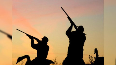 Çöl quşlarını ovlayan qardaşlar saxlanıldı