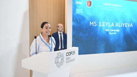 Leyla Əliyeva COP29-da panel müzakirələrində iştirak edib