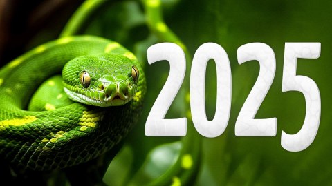 2025-ci il &ldquo;Yaşıl ilan ili&rdquo; olacaq -&nbsp;Astroloqlar nə PROQNOZLAŞDIRIR...