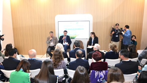 COP29-da plastik tullantılar müzakirə olundu 
