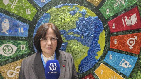 Türkiyə COP29-da 1800 nəfərlə iştirak edib
