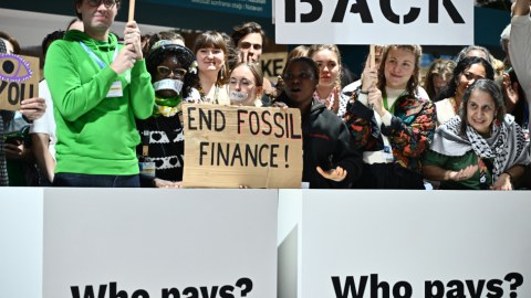 COP29-da aksiya keçirildi: “Ya ödə, ya sus!” - FOTOLAR