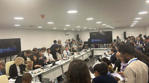 COP29 danışıqları yekunlaşır