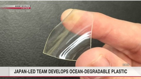 Dəniz suyundan plastik hazırlandı