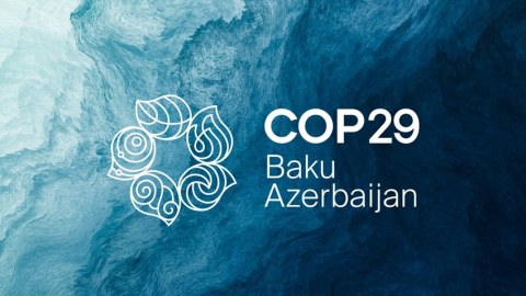 COP29-da quracağımız gələcəyin təməli qoyulub - UNEP rəhbəri