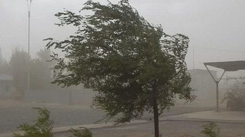 Bakıda güclü külək, rayonlarda duman - Faktiki hava