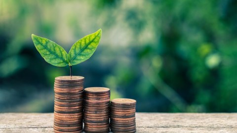 Gələn il üçün yaşıl büdcə xərcləri açıqlandı