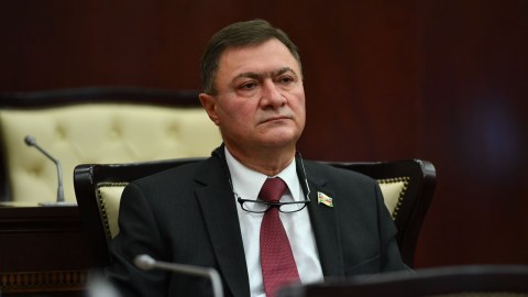 Azərbaycanın COP29-a sədrliyi ən uğurlu zirvə kimi tarixə düşəcək