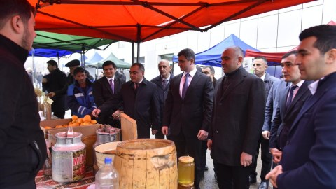 Lerik və Lənkəranda Aqrar Biznes Festivalları keçirilib - FOTOLAR