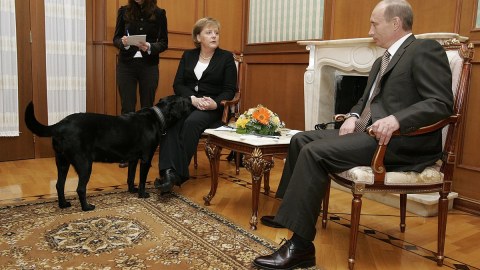 "Dedim ki, Angela, bağışla, mən bilmirdim"