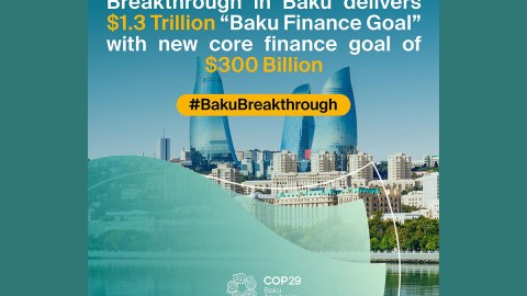 100 ölkədən 500 xarici QHT COP29-la bağlı bəyanat yaydı