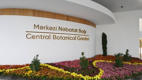 Nəbatat Bağına yeni&nbsp;sədr TƏYİN EDİLDİ