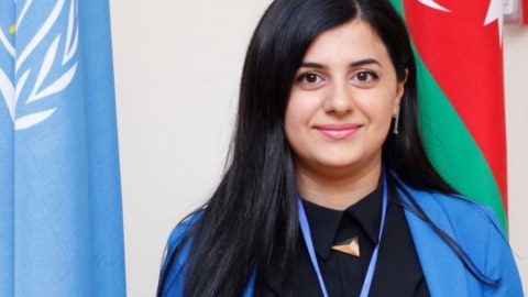 Bəzi İctimai şuralar təyinat əsasında formalaşdırılıb - Deputat