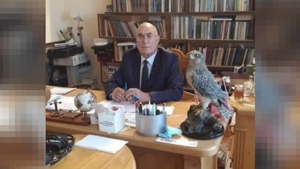 Dəliləri yanına güclə gətiriblər, ağıllı adamlar isə özləri gəlib...